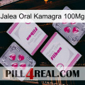 Oral Jelly Kamagra 100Mg 33